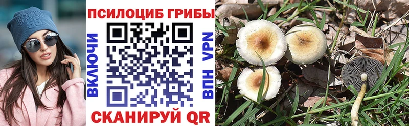 Псилоцибиновые грибы Magic Shrooms купить наркотик Печора